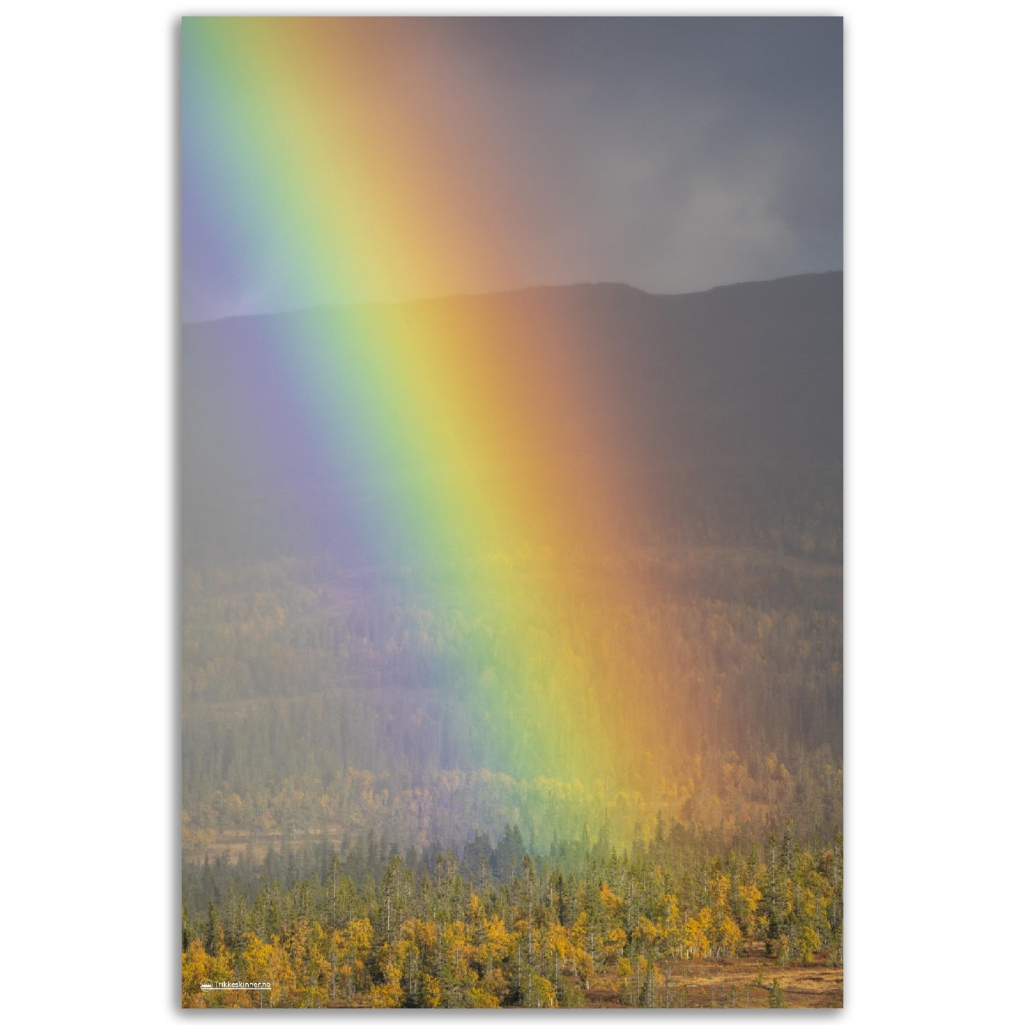 Regnbue over Flatvollen // FOTO