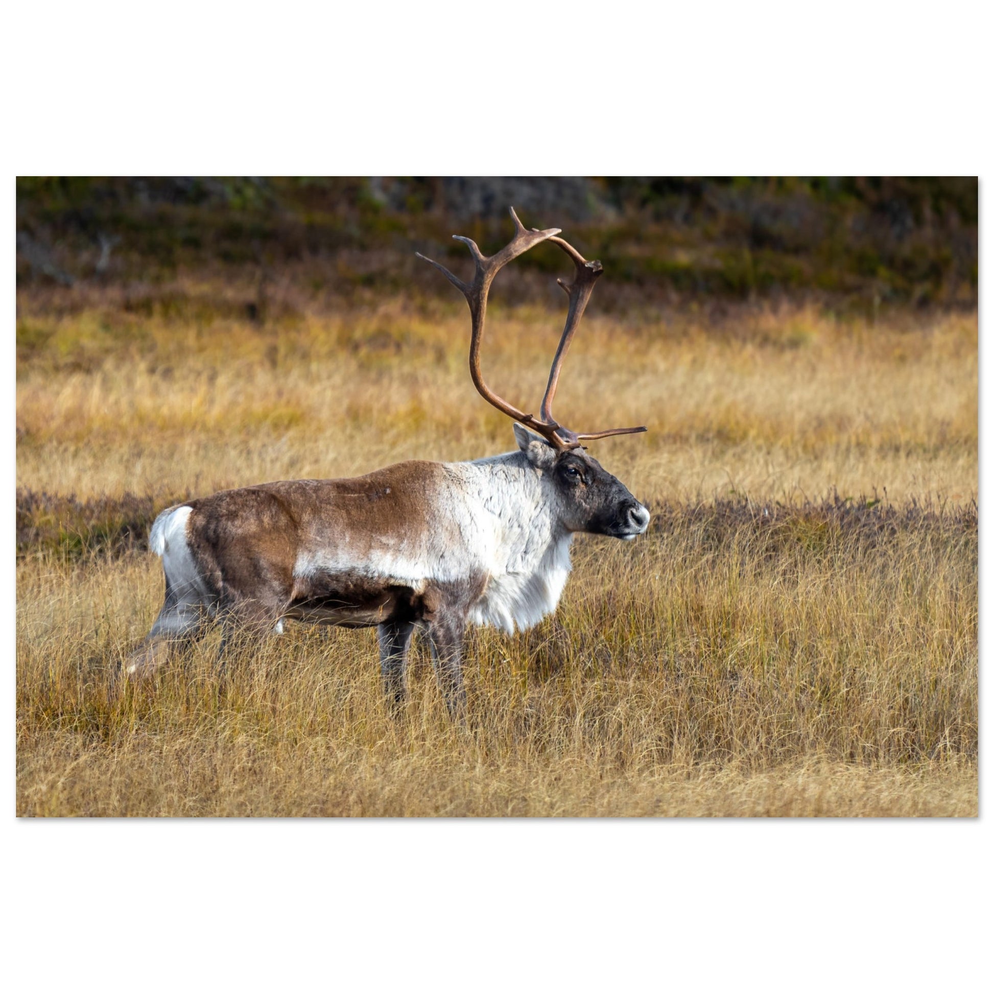 25f0c833-1935-49ed-a4cc-5a57d54ba677