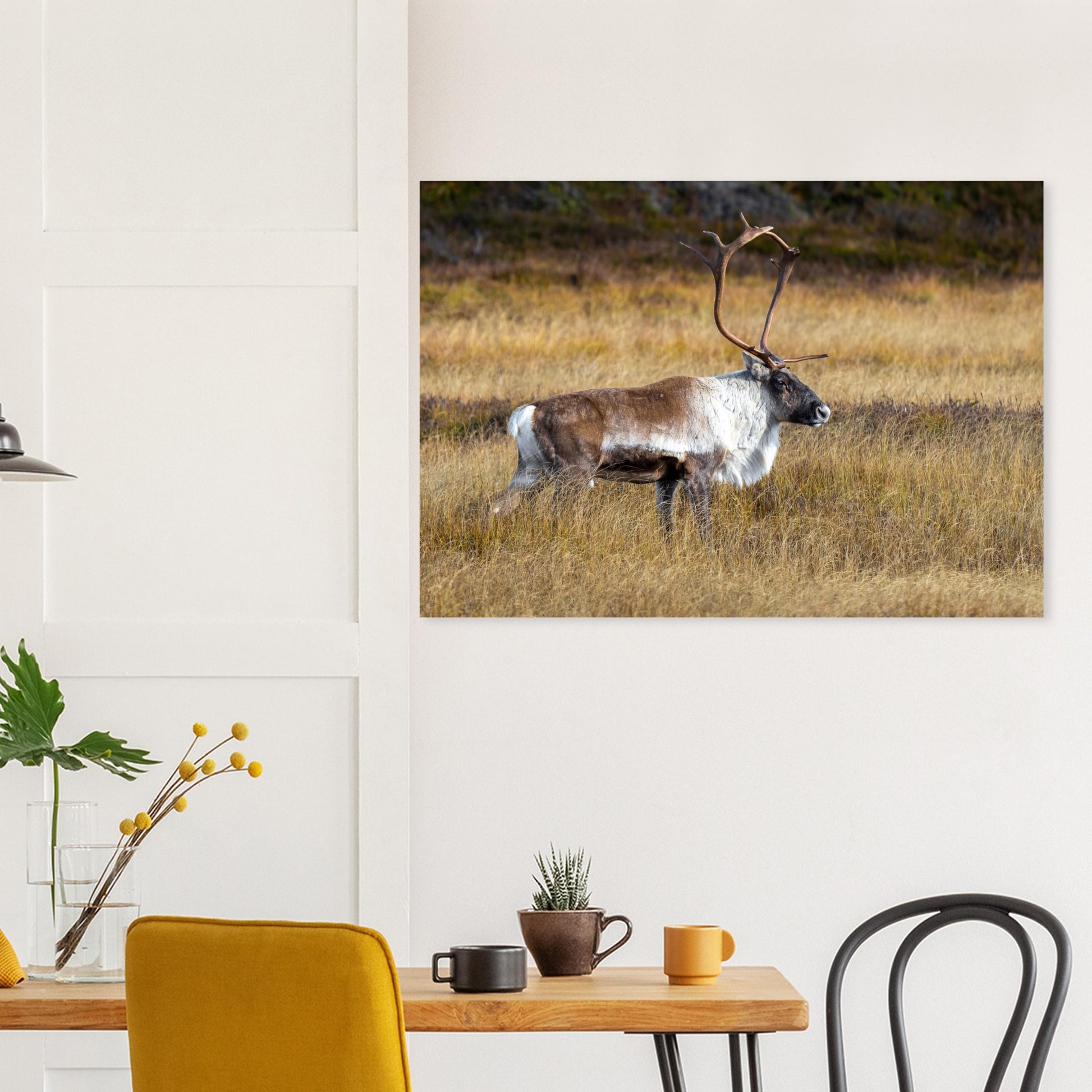 737eda45-c814-4256-8f02-e1b08d1fb07f