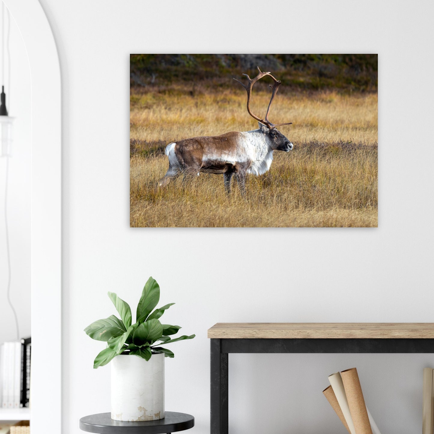 9801772c-81b3-40ff-aa44-ed0e97ff2d8c