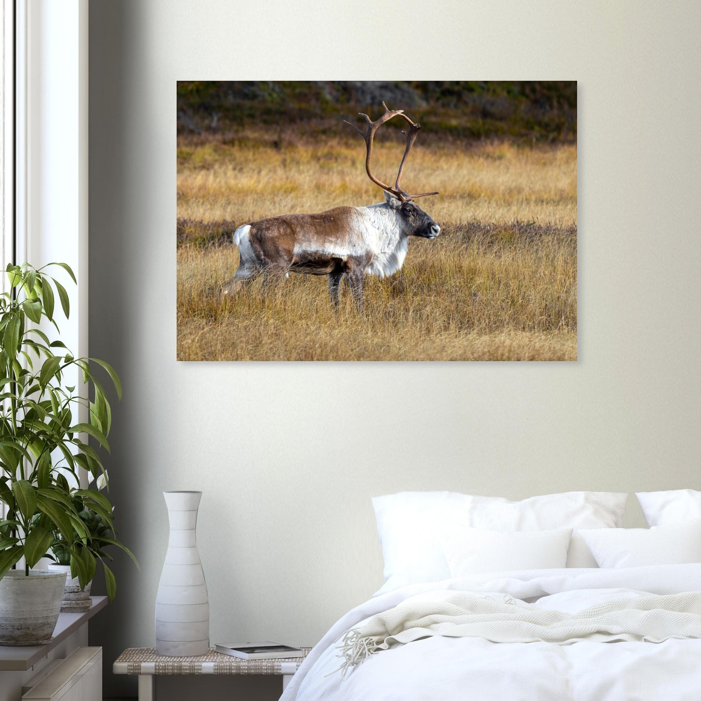 b6b8e724-bde6-4a7b-8844-e324e9e6e93d