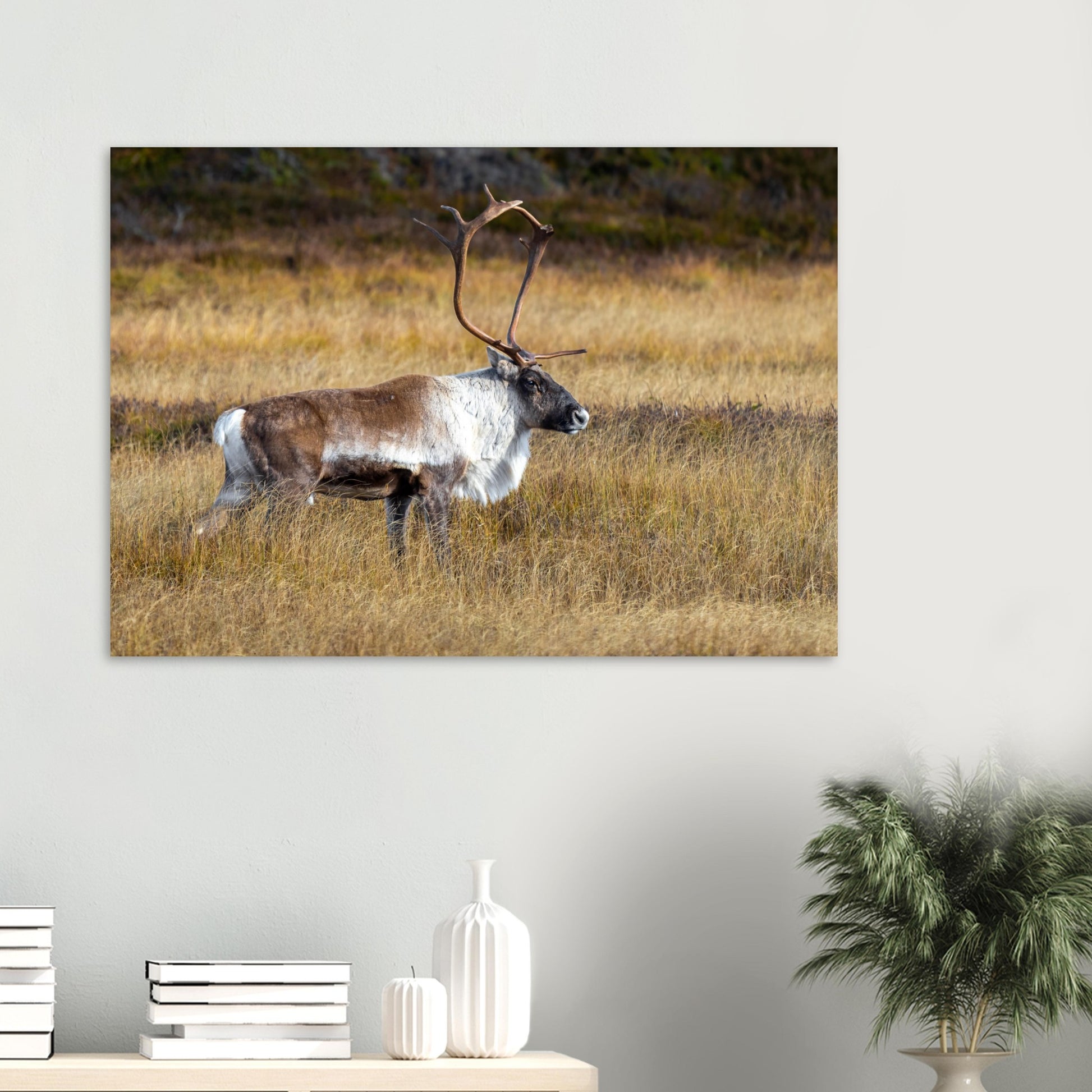 dabd3829-6b0d-4041-9333-7136c6181d24