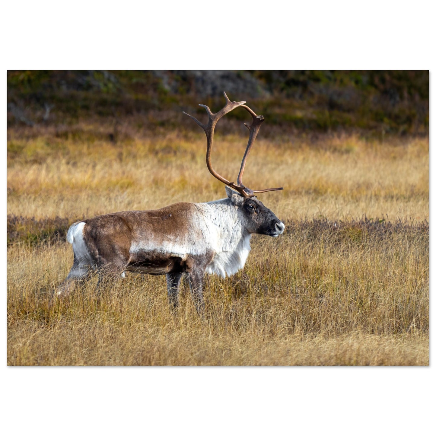 de684c00-6165-48ac-bdce-4ef2029a11e4