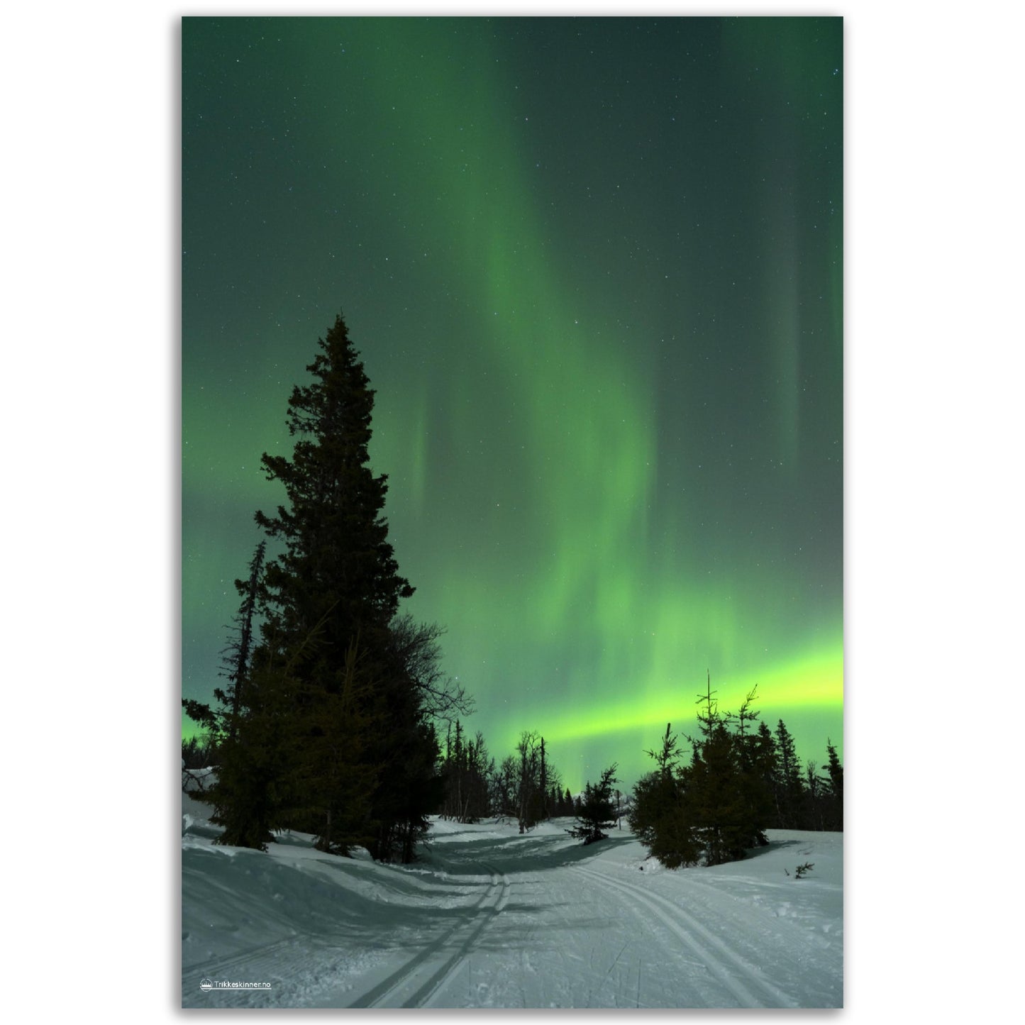 Nordlys over Øvre Reinsjøfjell // FOTO