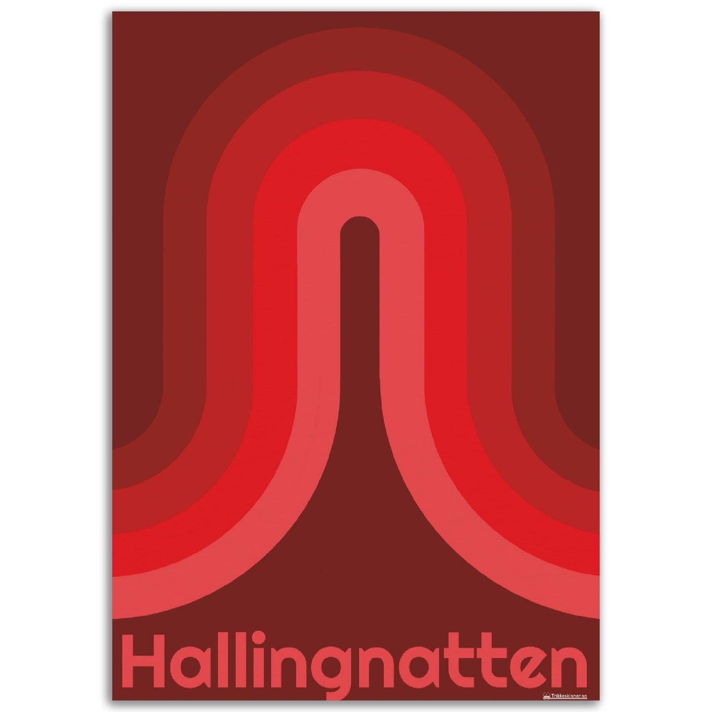 HALLINGNATTEN // Plakat