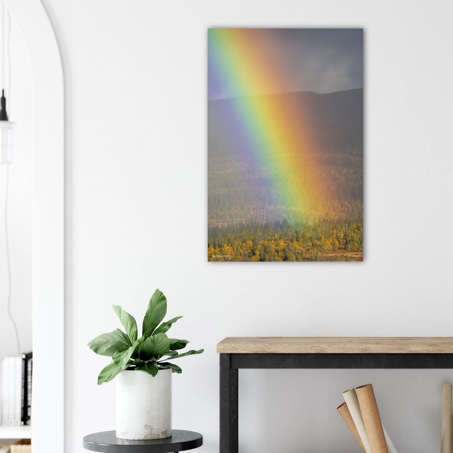 Regnbue over Flatvollen // FOTO