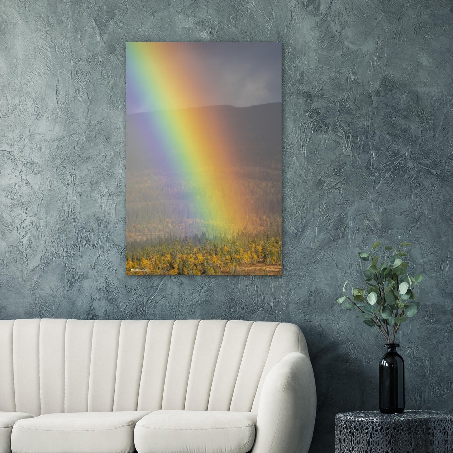 Regnbue over Flatvollen // FOTO