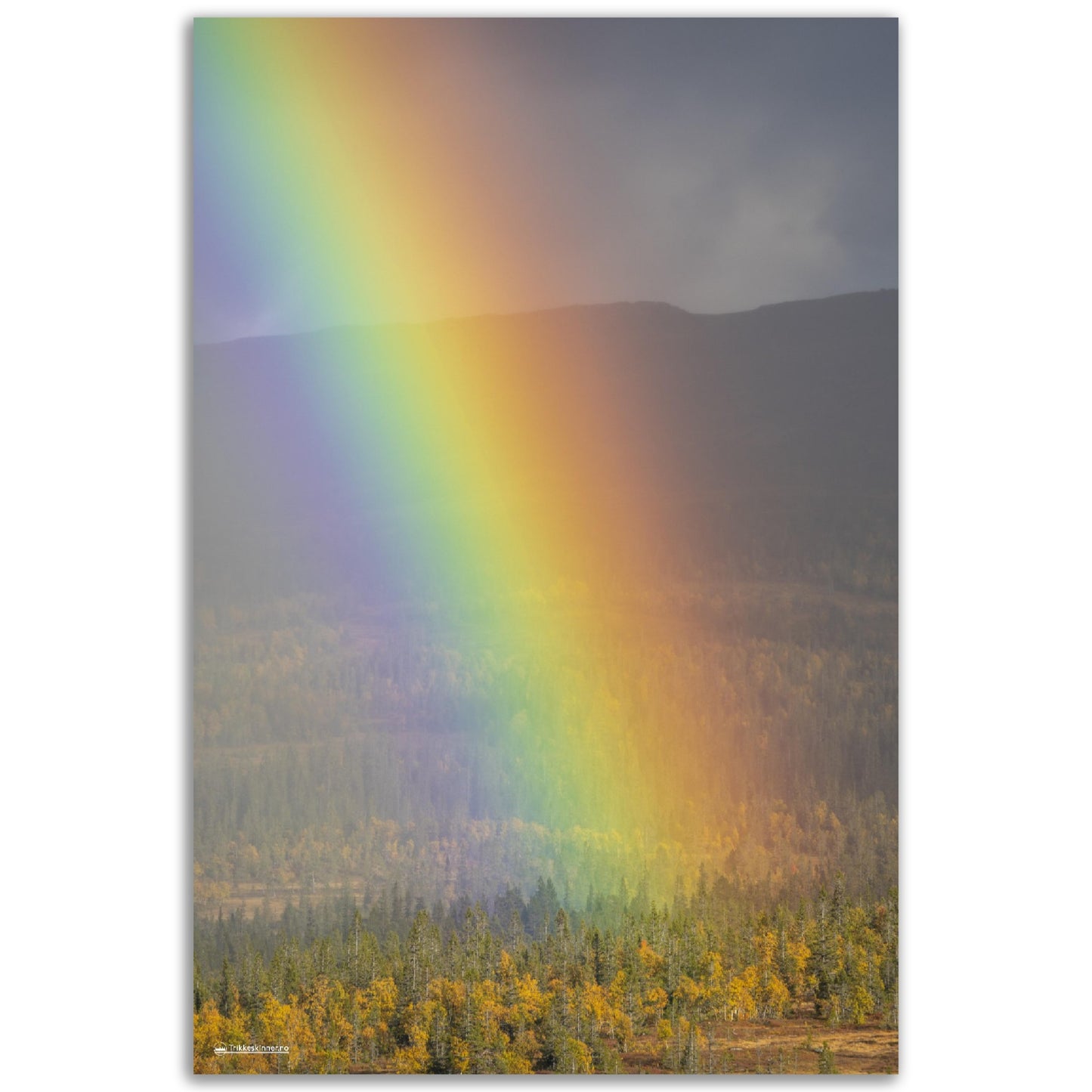 Regnbue over Flatvollen // FOTO